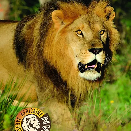 Mosaique 公寓 纳博讷